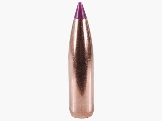 Nosler Geschoss Ballistic Tip Hunting 6mm/.243 95GR Spitzer 50 Stück