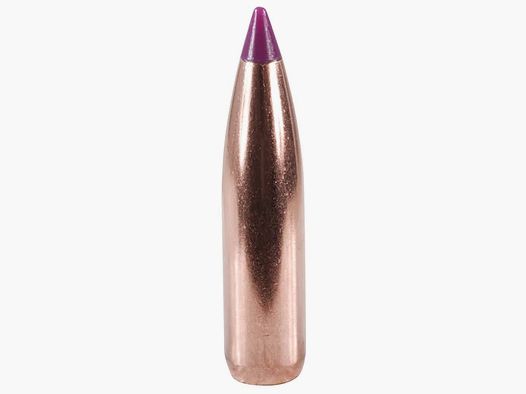 Proiettile Nosler Ballistic Tip Hunting 6mm/.243 95GR Spitzer 50 pezzi