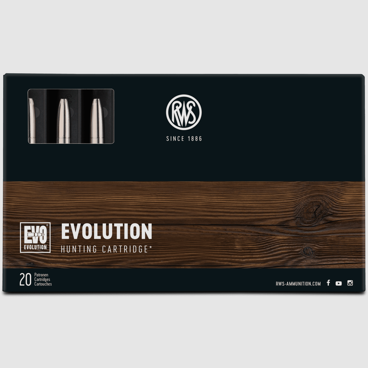 RWS 6.5x55 SE EVO 156 gr. - 20 pcs