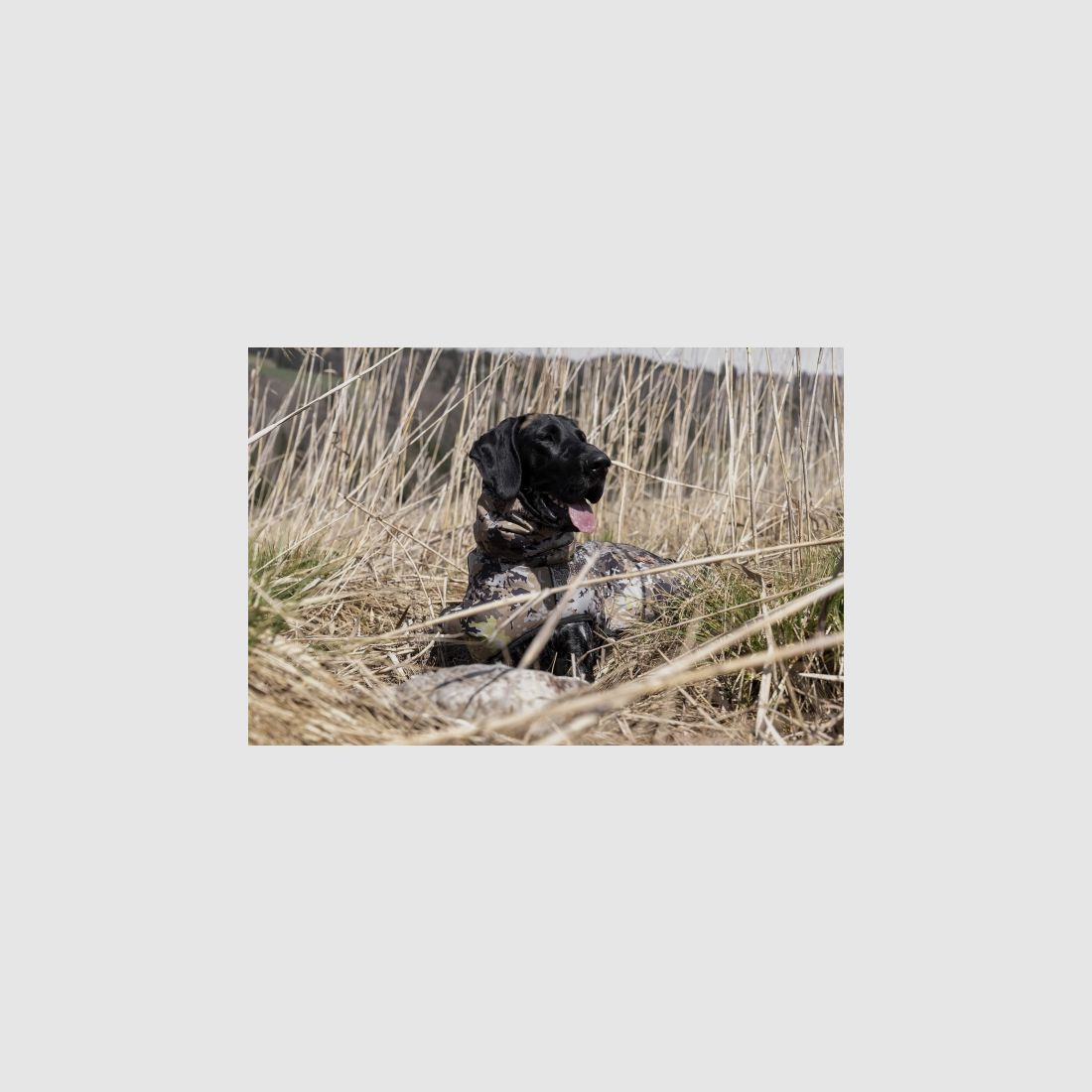 Blaser Hundeponcho - Farbe: HunTec Camo