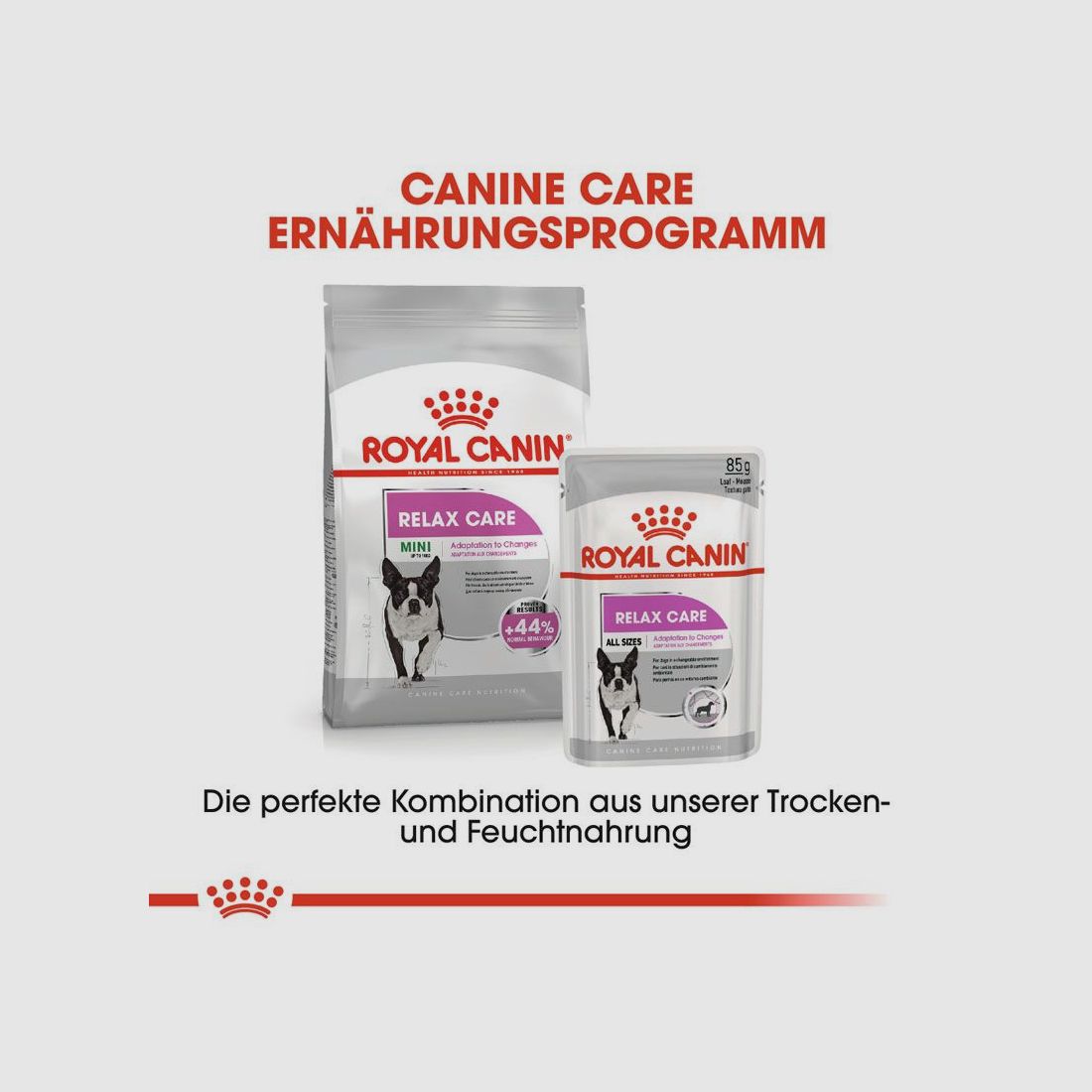 ROYAL CANIN Nassfutter Relax Care für Hunde in unruhigem Umfeld 12x85 g