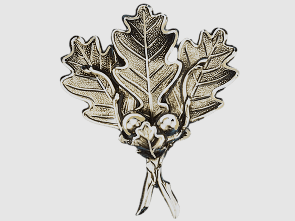 Fritzmann Boar Weapon Cover - solid