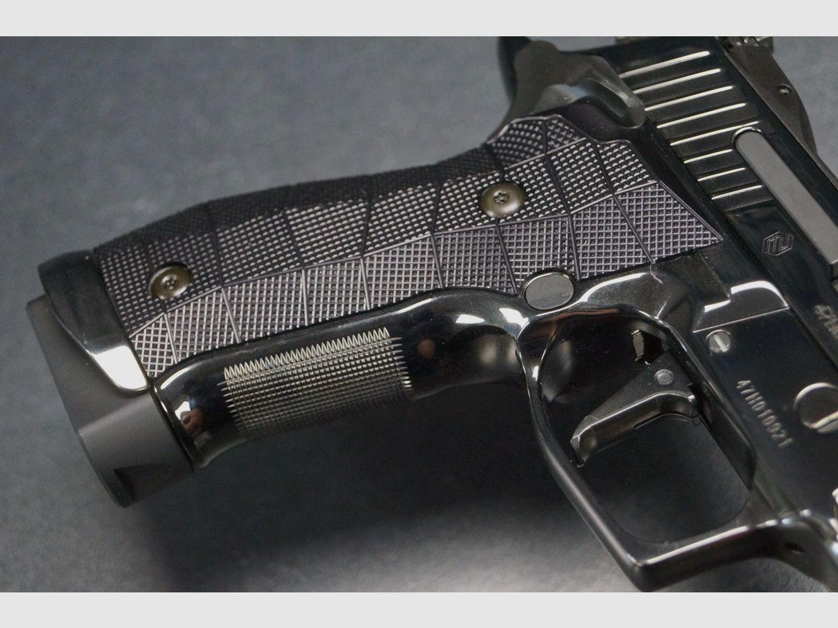 Sig Sauer P226-XFive Reserve Collection, imagen 4 de 7