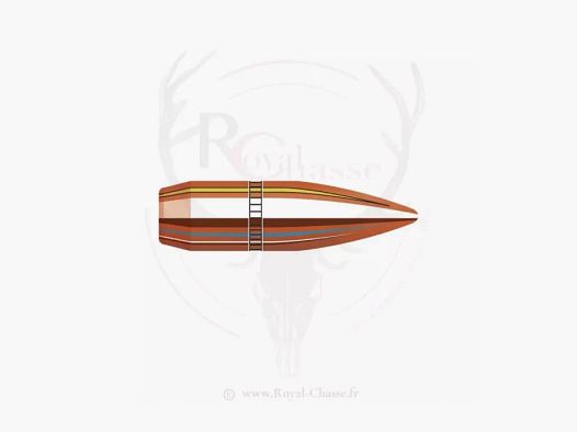 100 ogives Cal.30 D.308 150Grs BT FMJ HORNADY