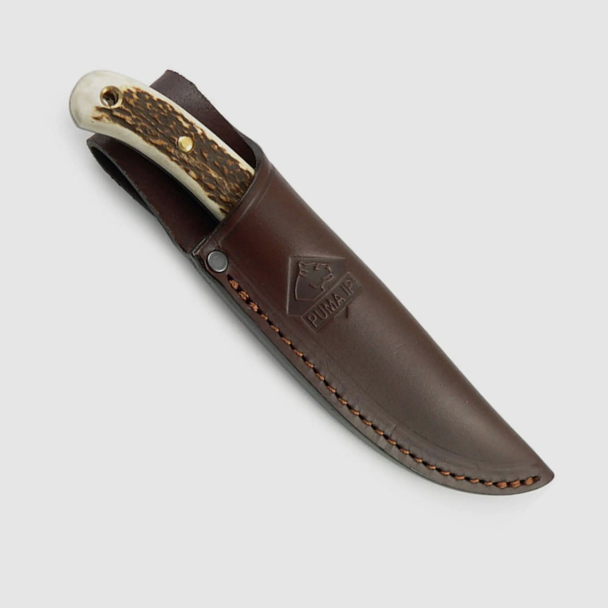 PUMA IP catamount, cervo