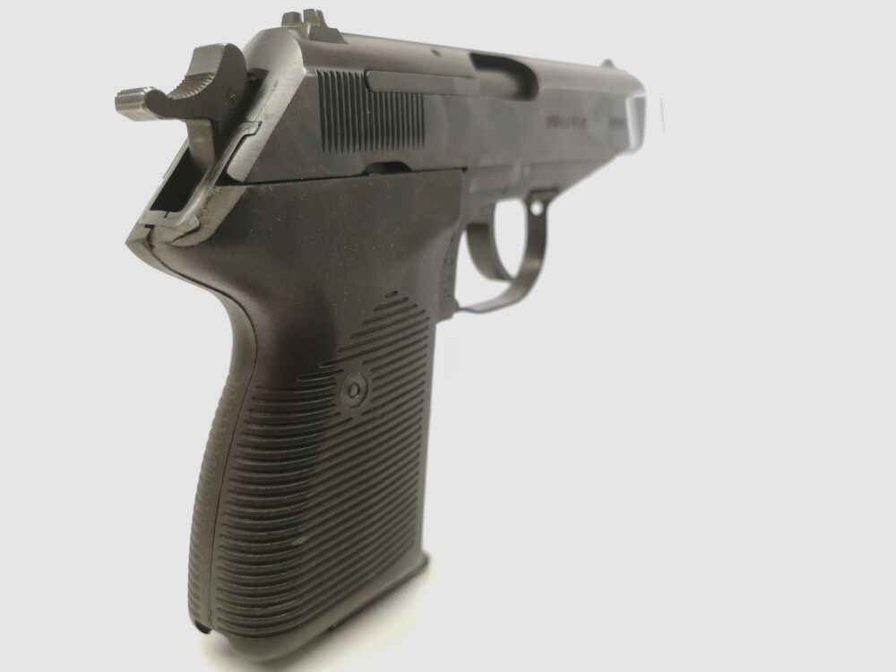 Radom P-83 Wanad