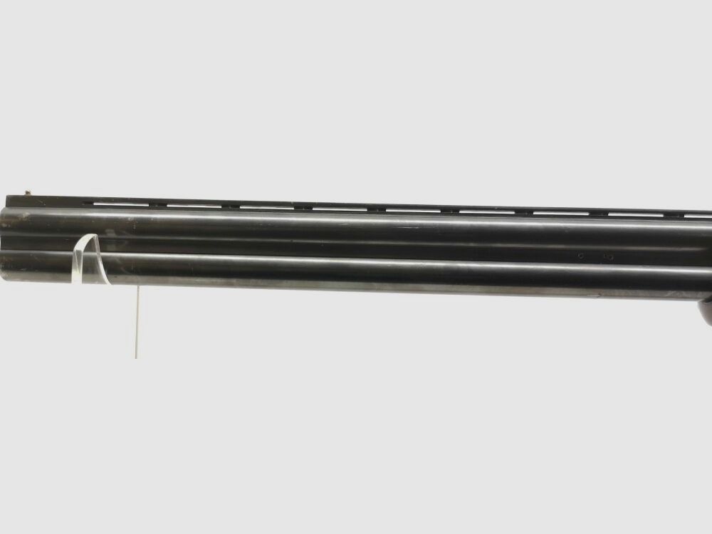Kettner Campione