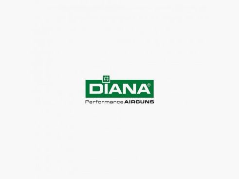 METALLVISIERUNG FÜR LUFTGEWEHR DIANA