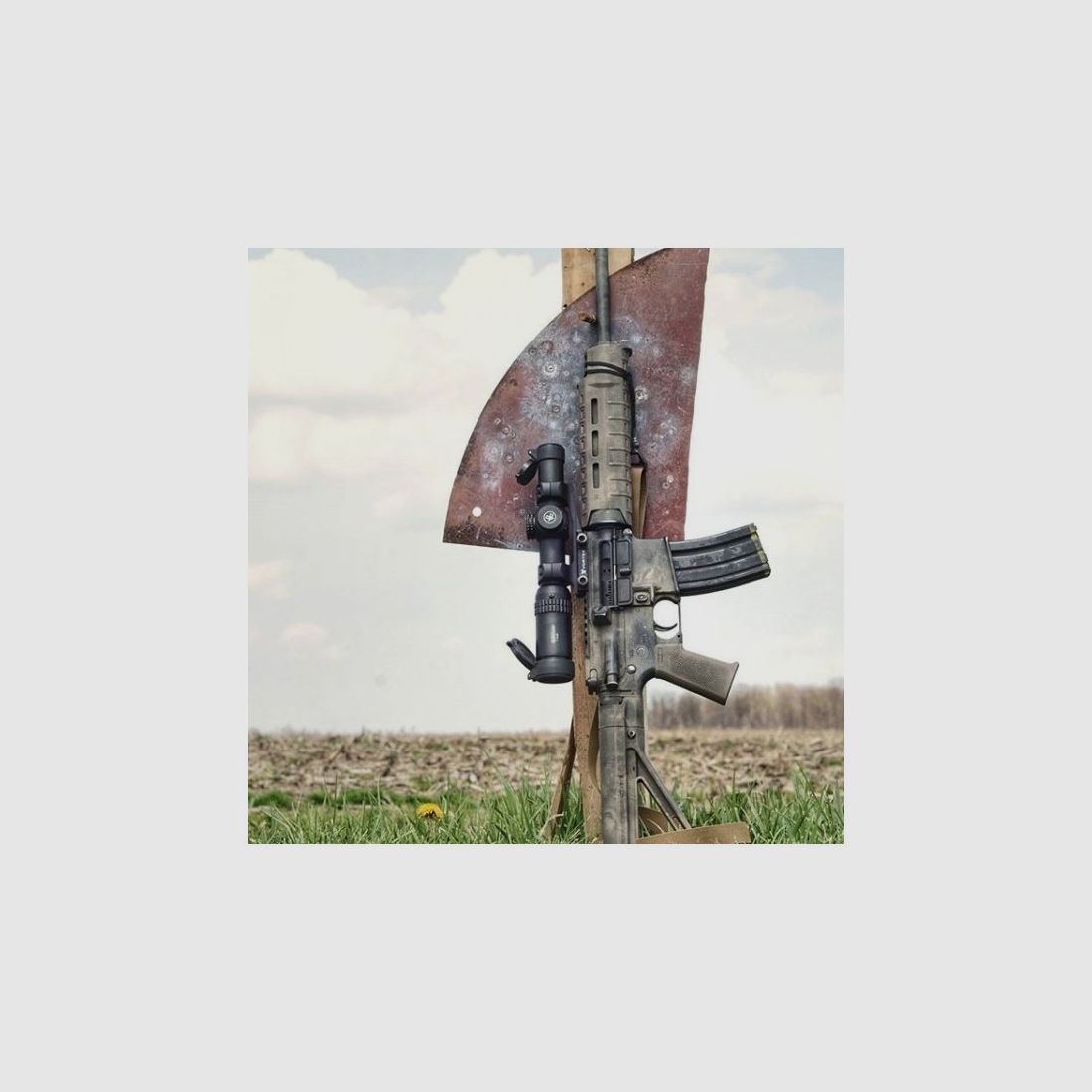 VORTEX Strike Eagle 1-6x24 SFP Zieloptik AR-BDC3 Moa, Bild 6 von 10