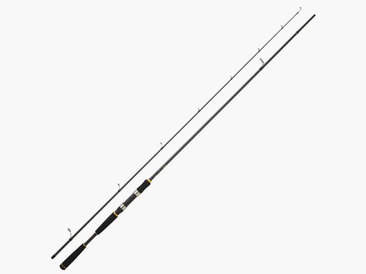 CANNE DAIWA LEGALIS SEABASS