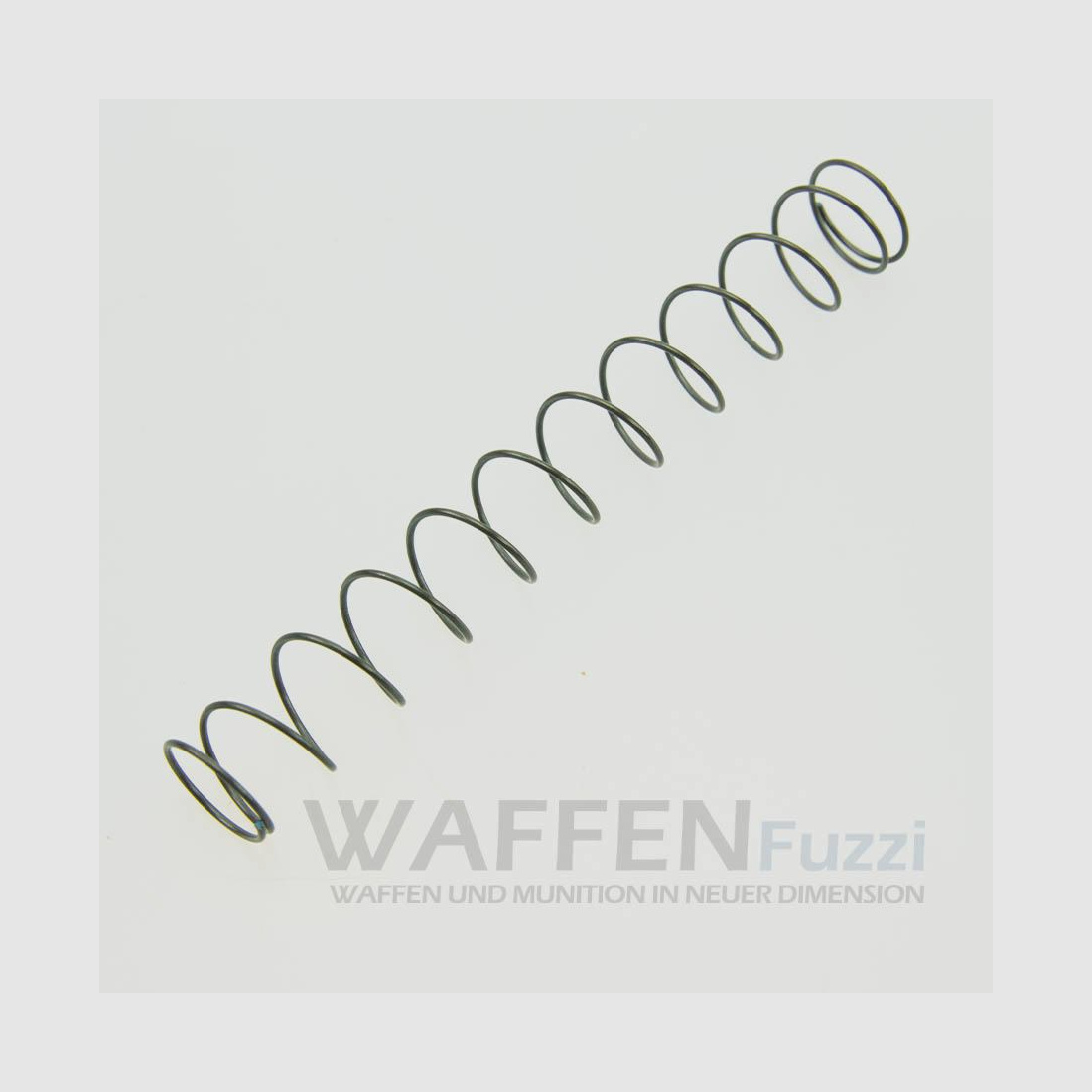 Röhm RG96 sliding spring