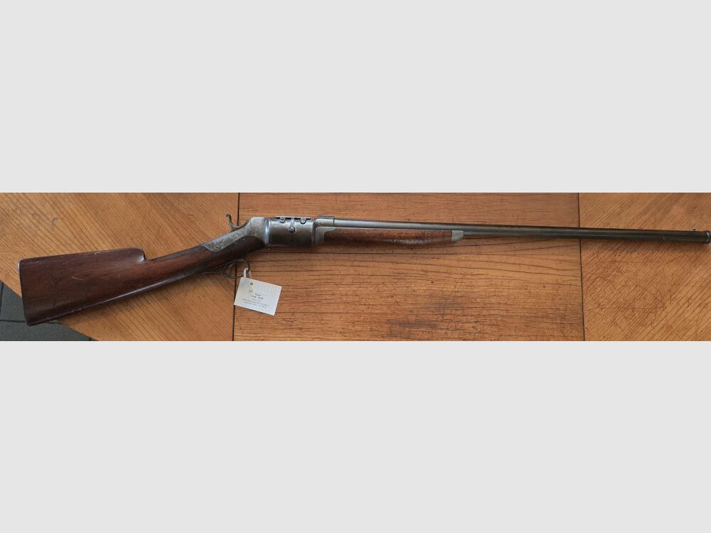 Roper Mod.1866