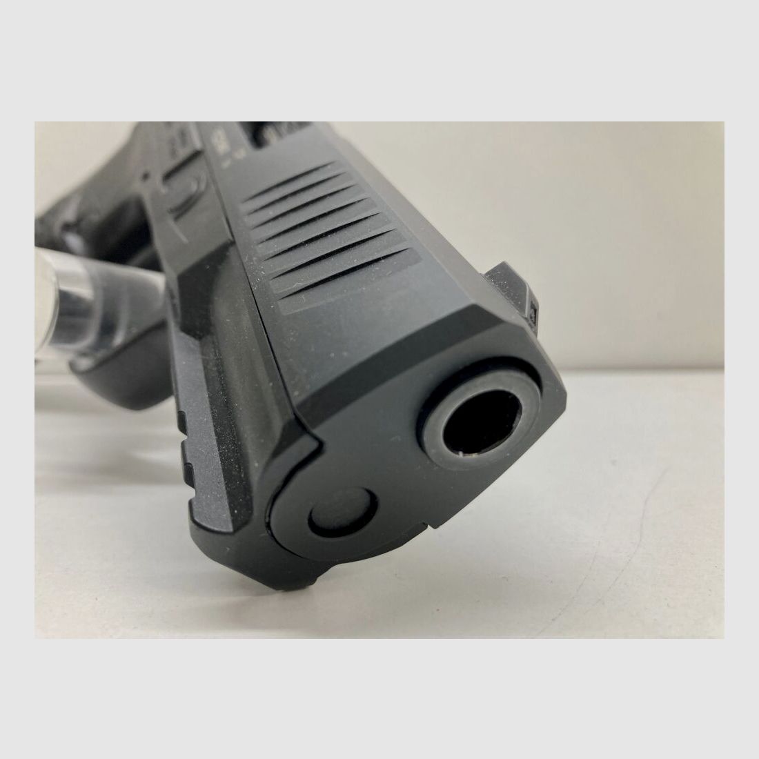 WALTHER CREED - Armes de Friedrichs