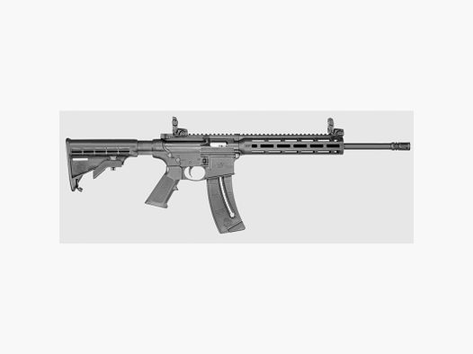CARABINE S&W M&P15-22 SPORT 10208