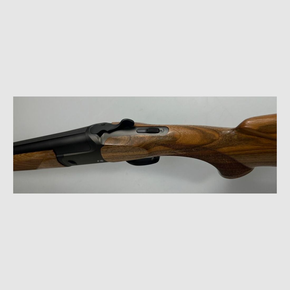 Blaser F16 Game