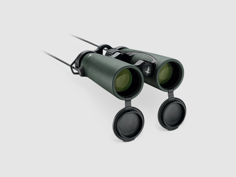 Swarovski EL 10x42 binocolo, immagine 3 di 7