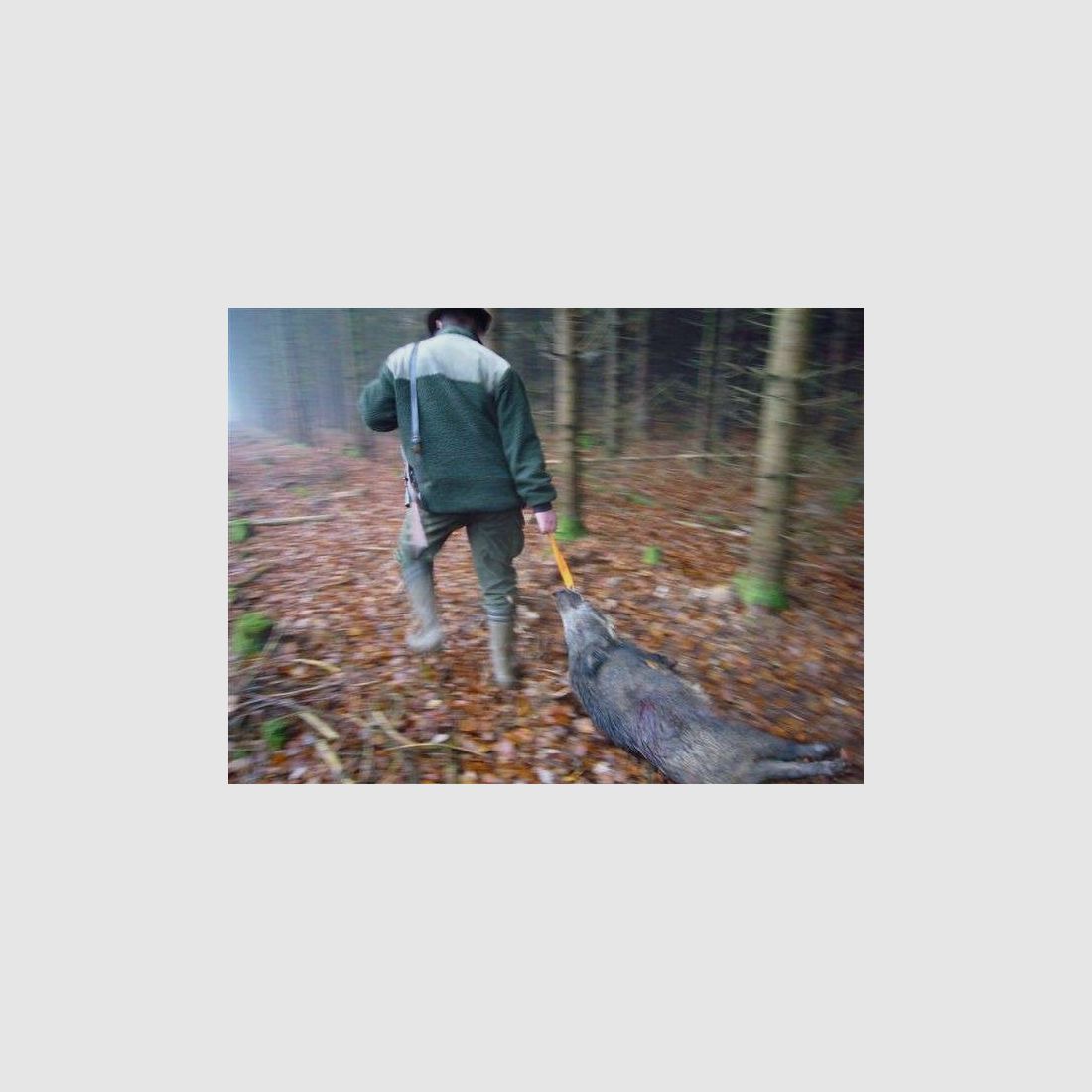 tjs-Hand-Wildbergehilfe L, Bild 2 von 3