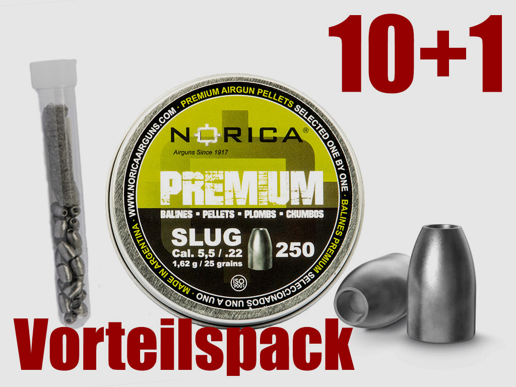 Testpack Hohlspitz Diabolos Norica Premium Slug Kaliber 5,5 mm 1,62 g glatt 20 StĂĽck