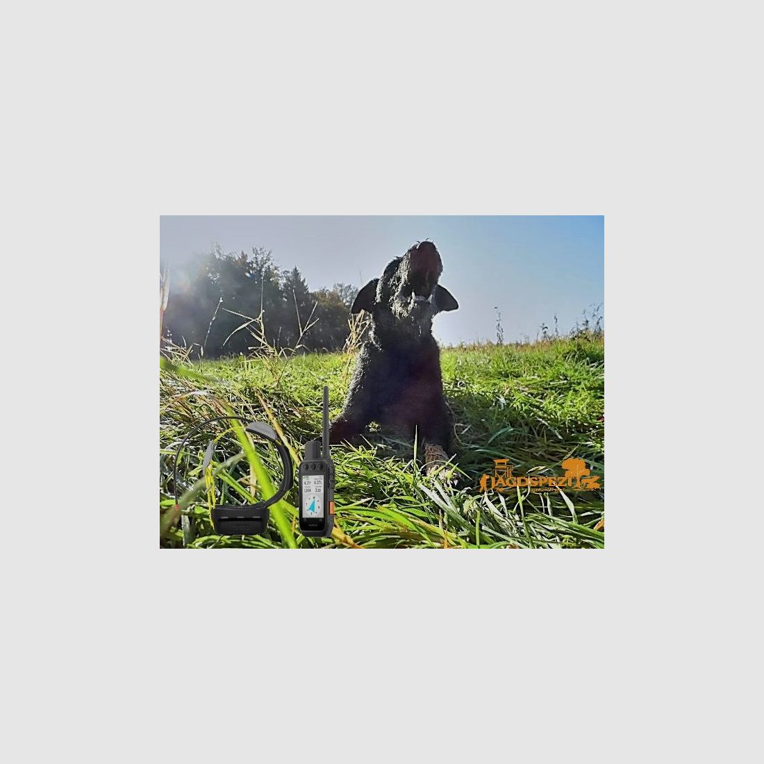 Alpha 200i K