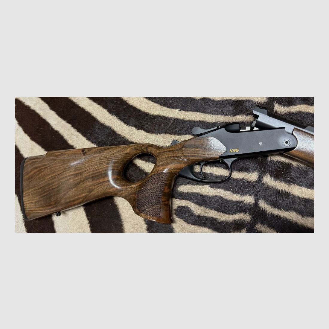 Blaser K95 Success