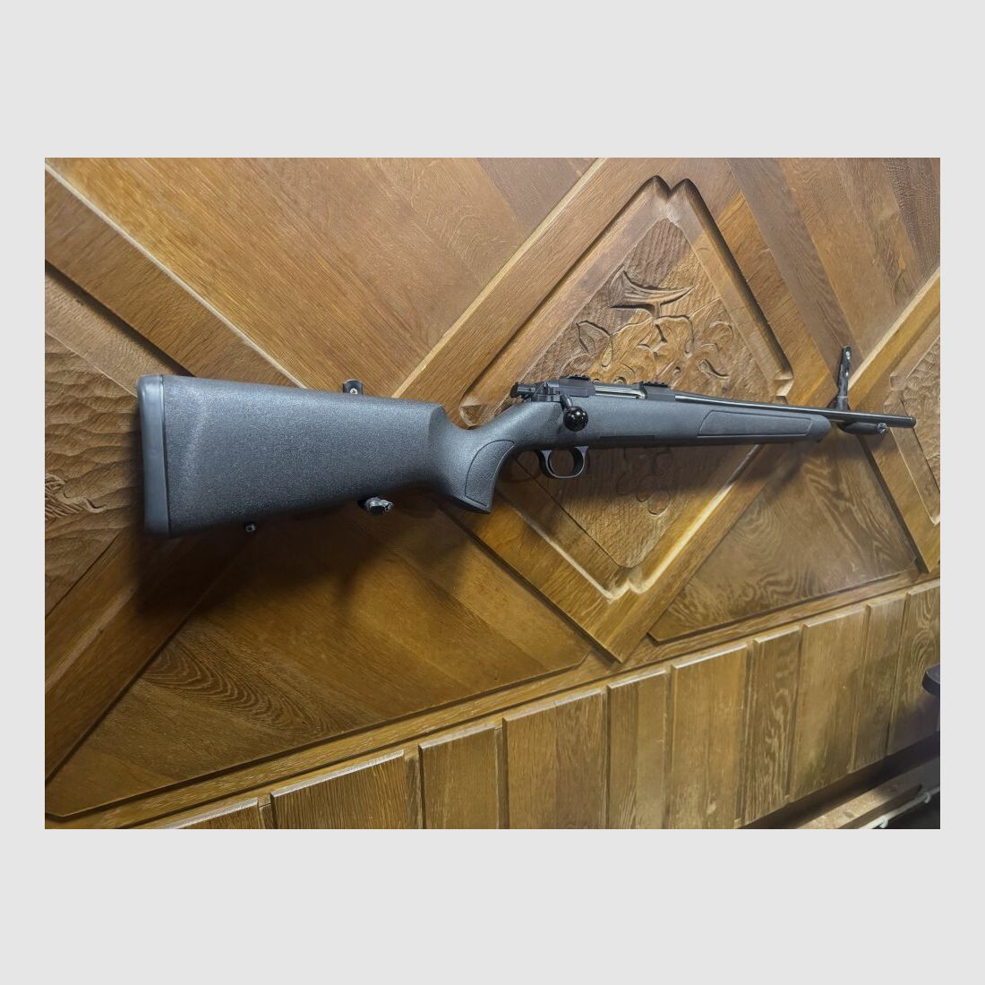 STEEL ACTION HS .308Win