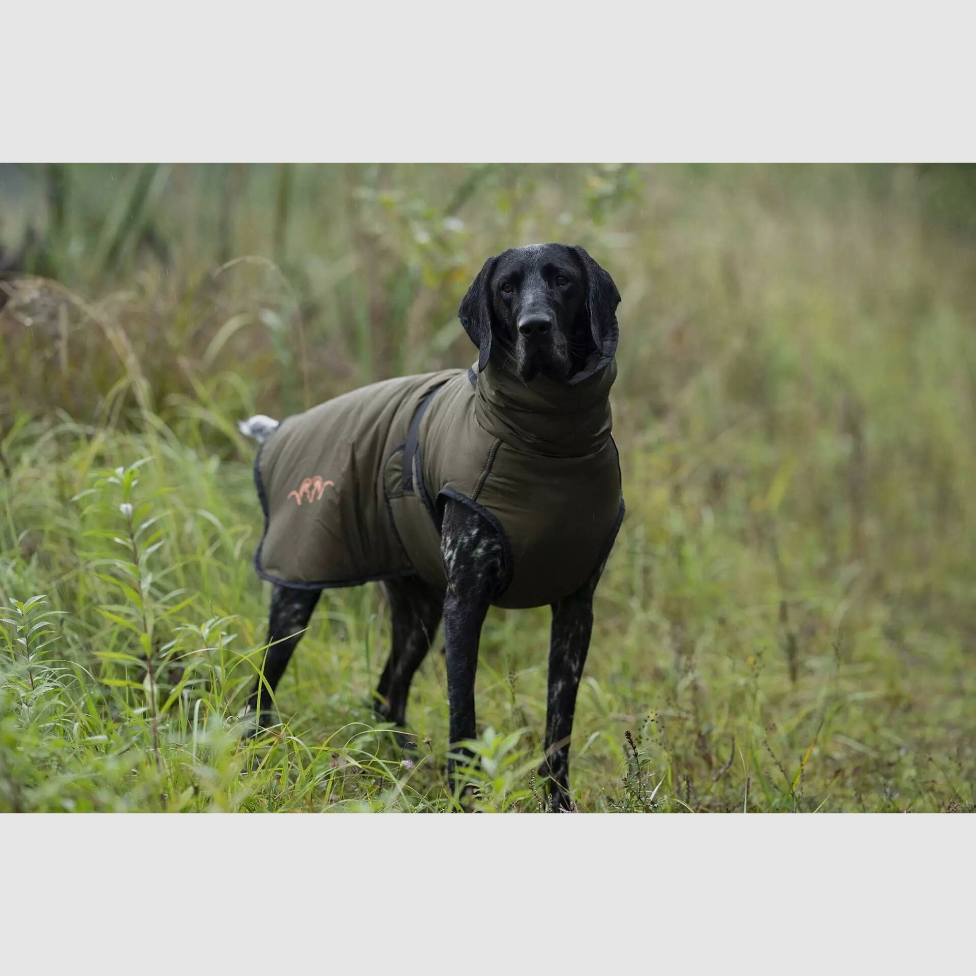 Blaser Poncho para Perros Oliva, imagen 2 de 3