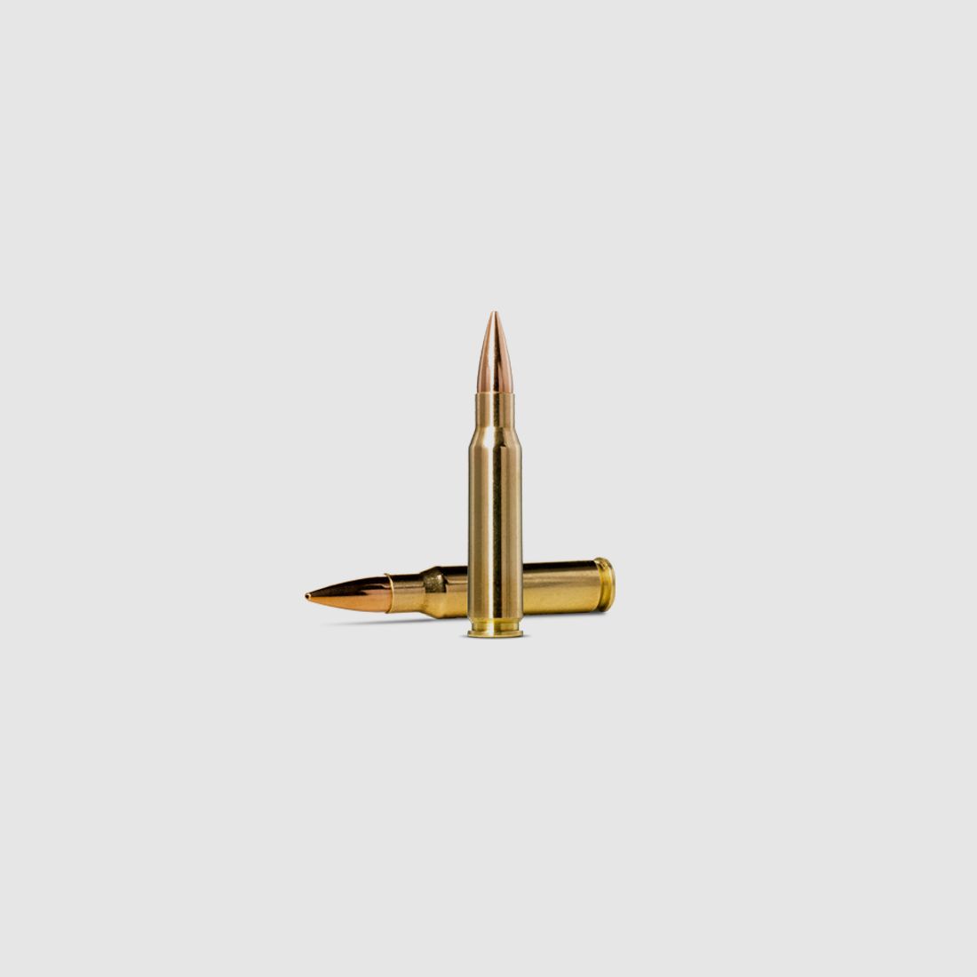 Norma Golden Target .308 Win. 10,9g, image 2 sur 2