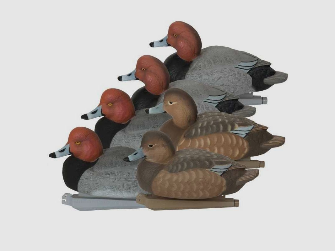 KIT 6 mallen Moriglione GHG Pro Grade Schuimgevulde Roodkop Decoys