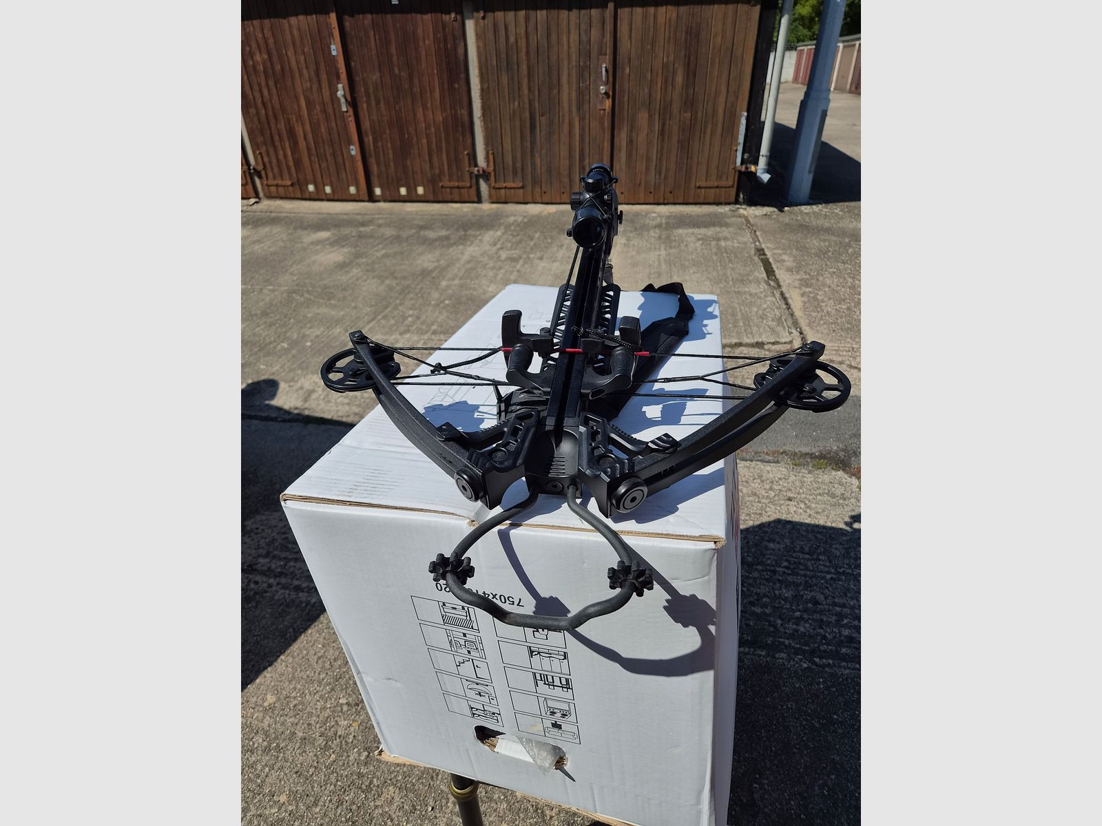 compound crossbow