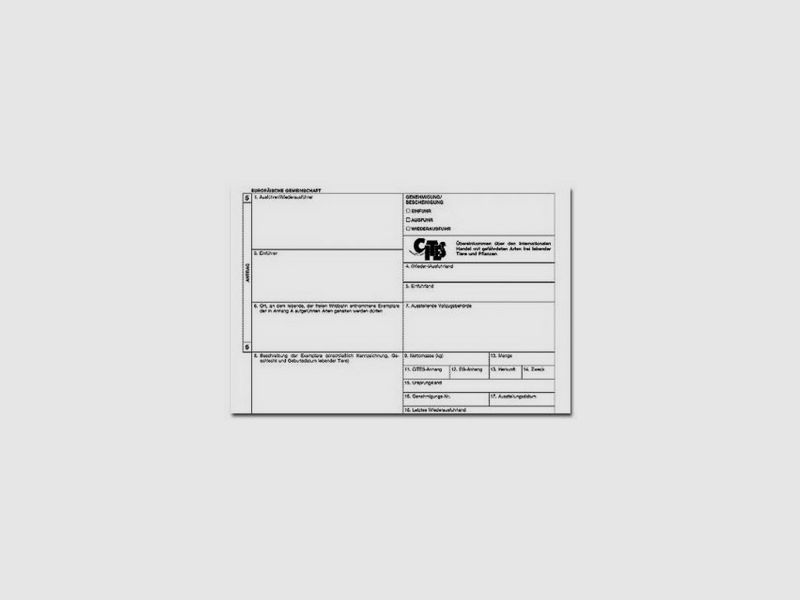 Downloads - Auslandsreise