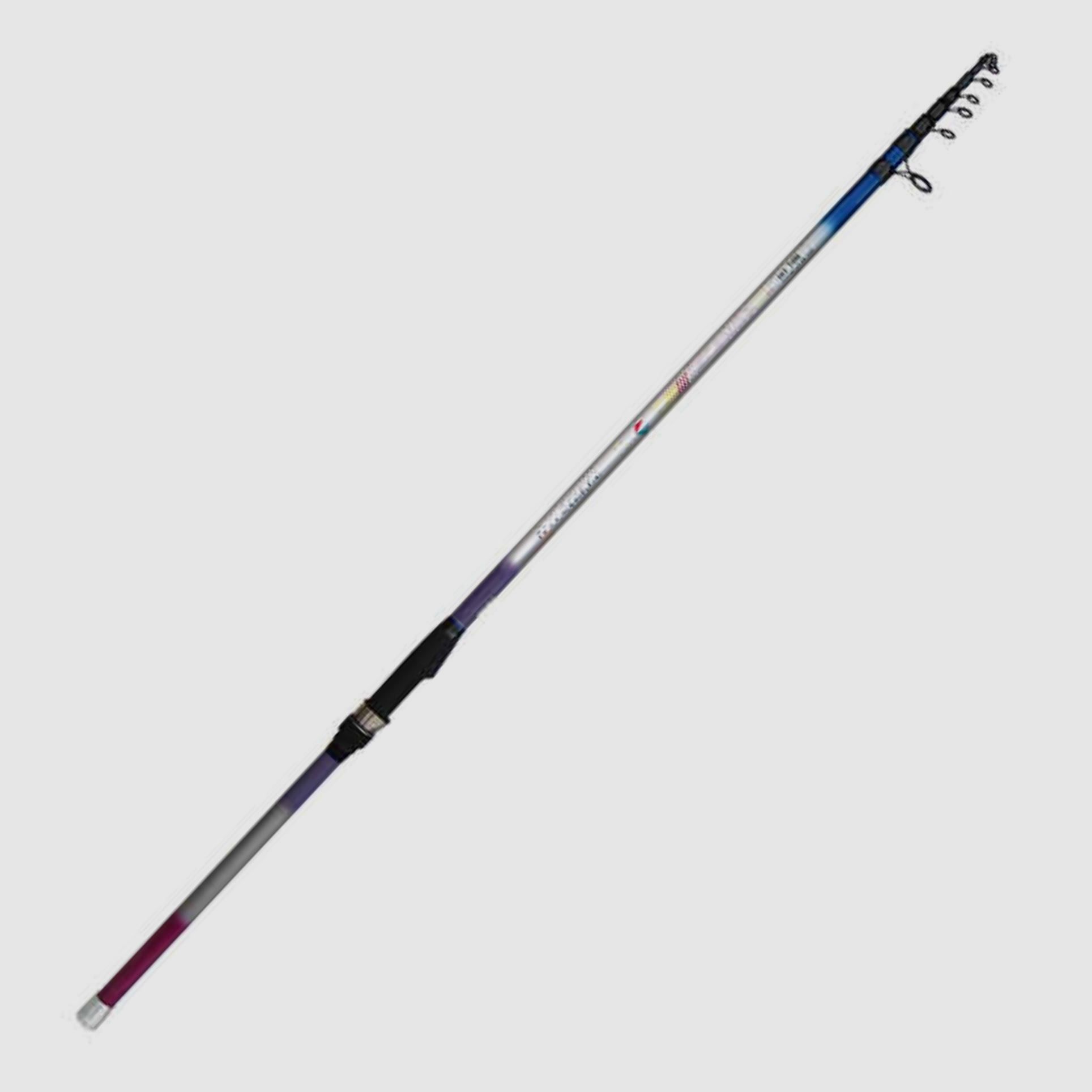 Rute 5,00 m 5 Teile 350 g