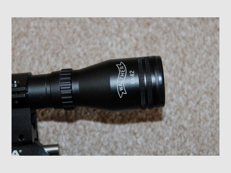 Diana Stormrider PCP