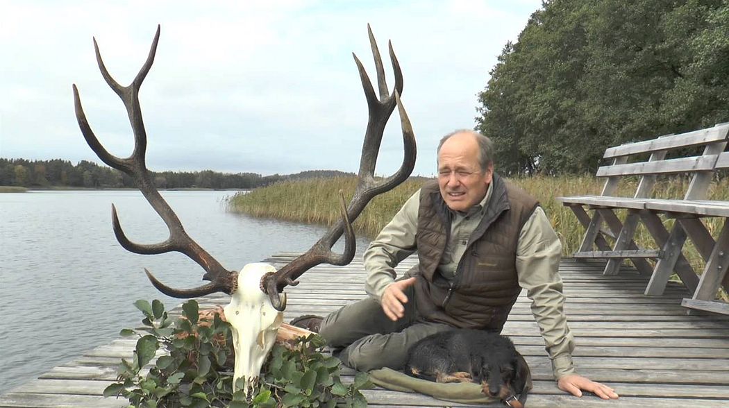 Lebenshirsch in Masuren erlegt! Nach kurzer Nachsuche auf der Strecke! Red stag of a lifetime !