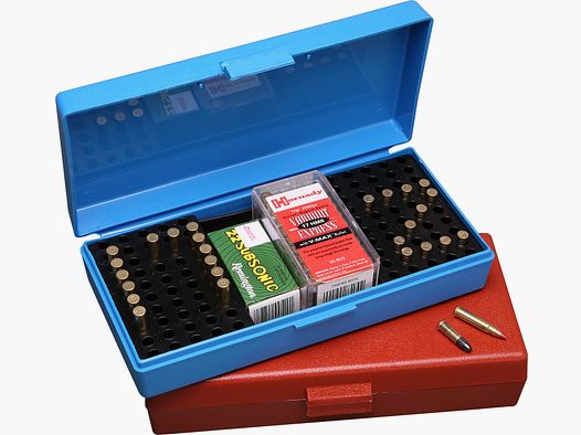 RIMFIRE100RDS 22LR RUST-12-
