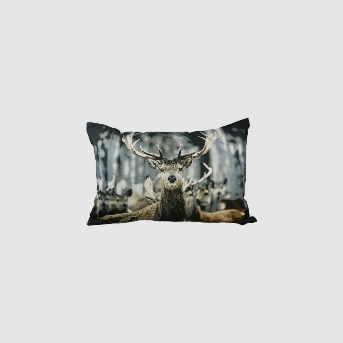 LivingActive Kissen Winter Hirsch