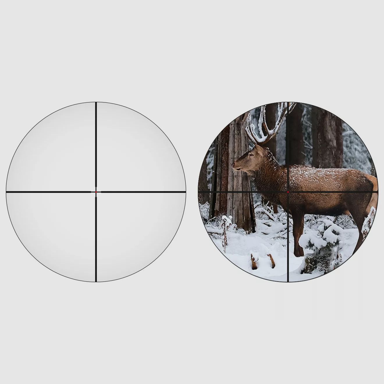 Haenel Jaeger 10 Timber Compact HK4