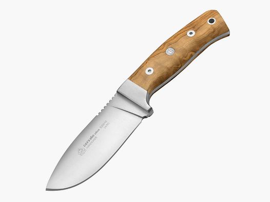 PUMA IP cervato, olijf