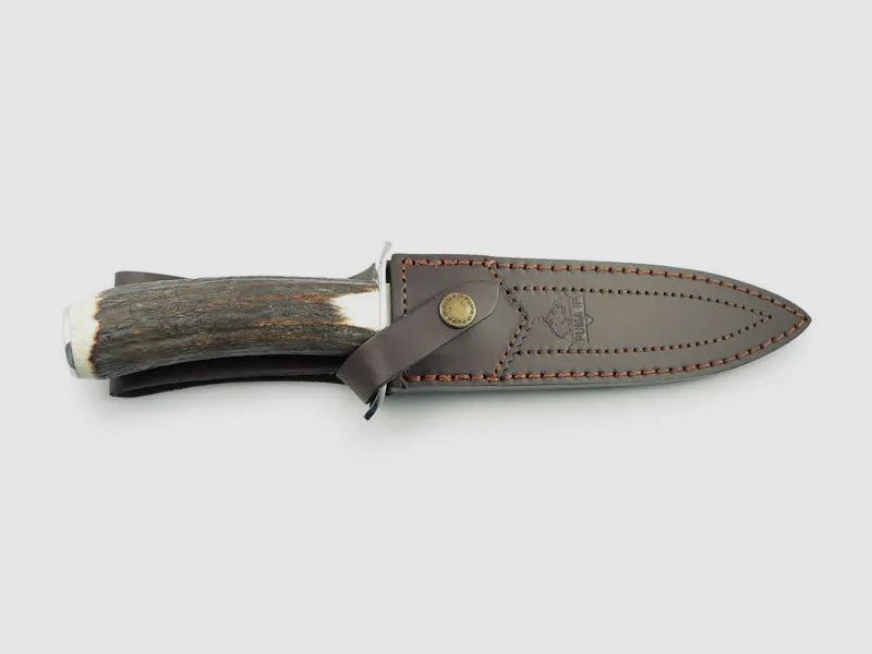 PUMA IP wild boar, image 7 of 7
