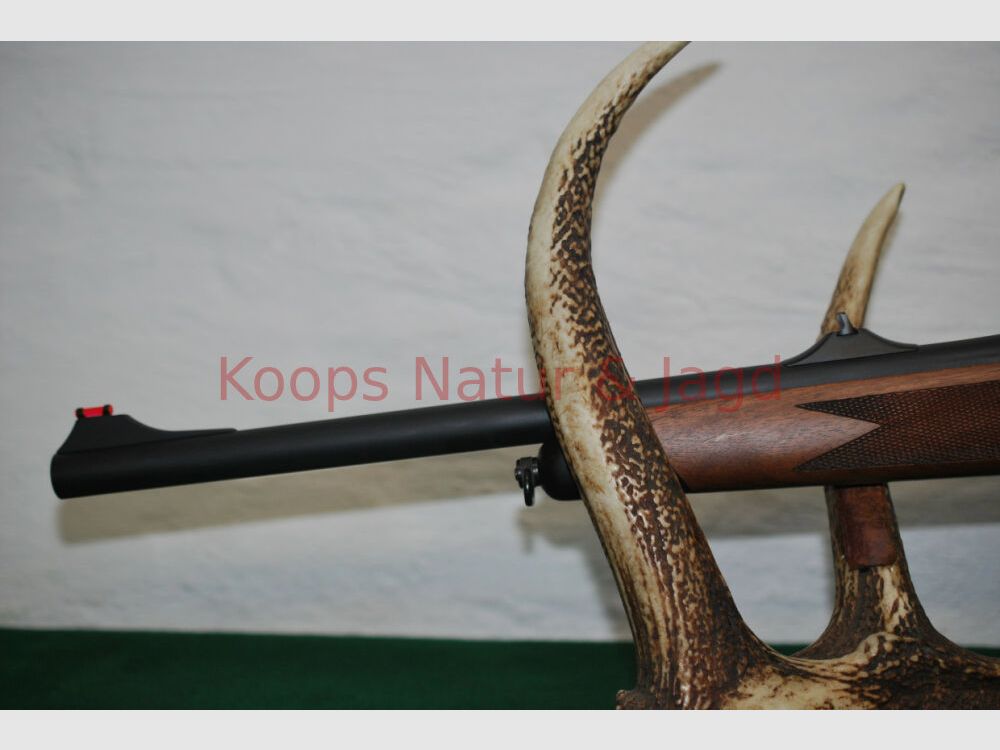 Sauer 202 Forest