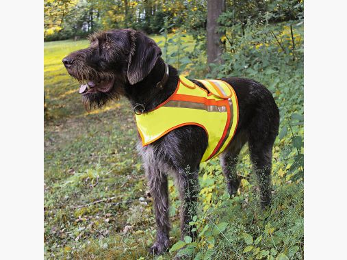 Gilet réfléchissant Akah pour chiens terrier - taille 2 |