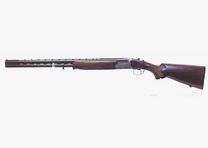 Rizzini AT 605