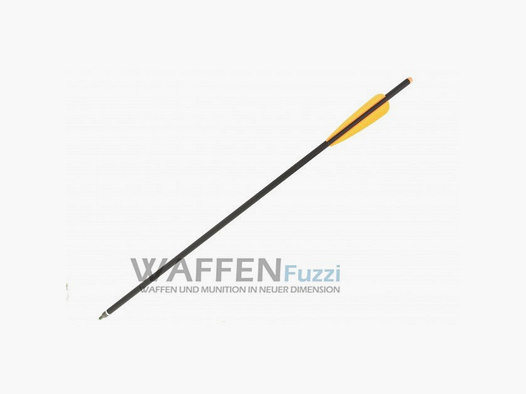 Freccia in carbonio 22" per balestra