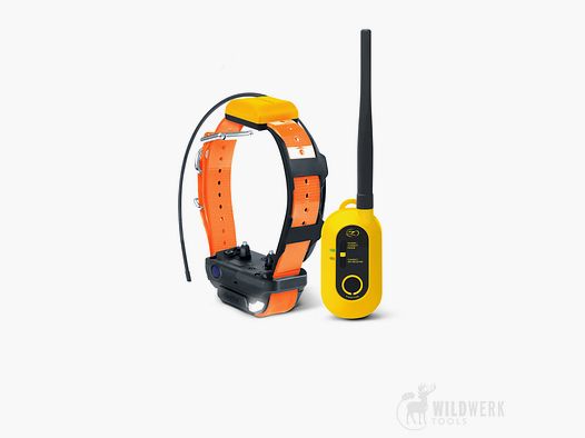 Dogtra Pathfinder2