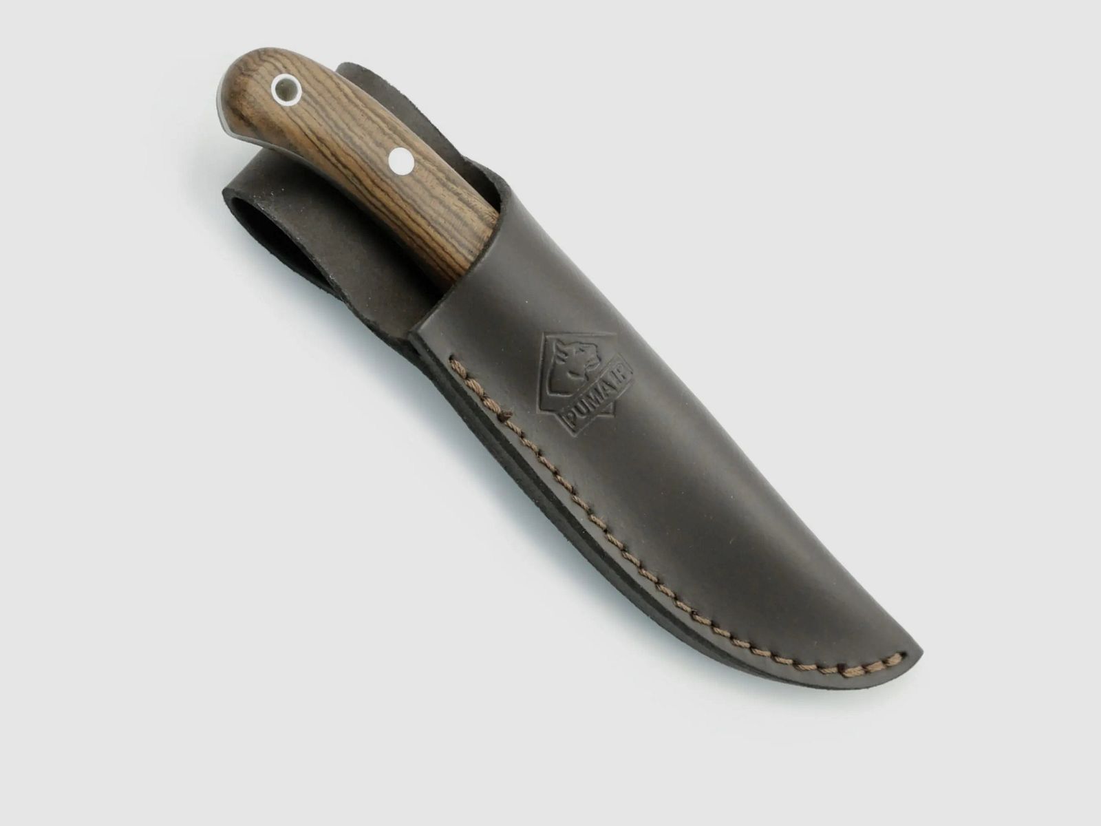 PUMA IP catamount quercia