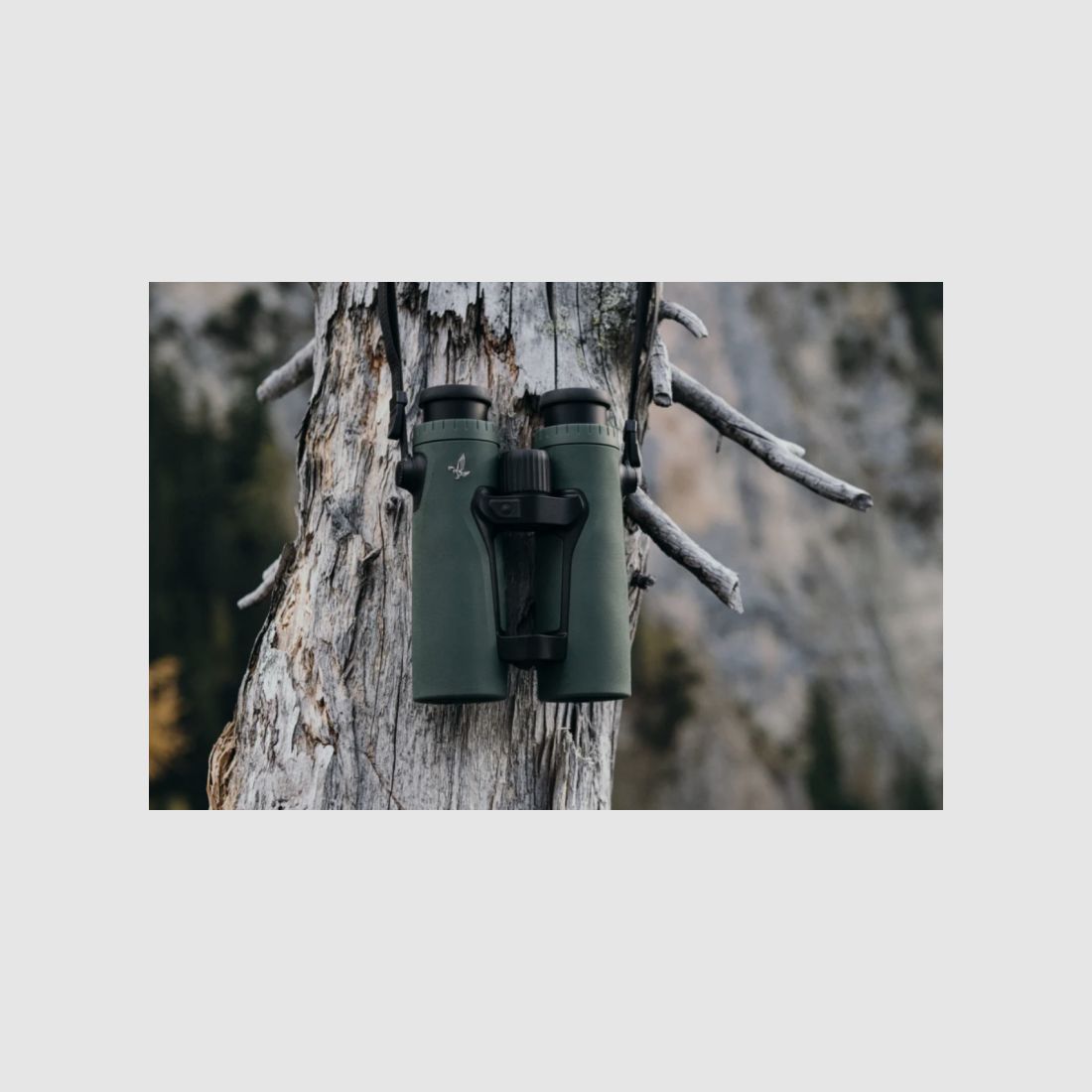 Swarovski Fernglas EL Range 10x42 TA