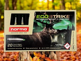 Norma Jagdpatrone ECOSTRIKE Kal. .308 Win 10,7g 165grs