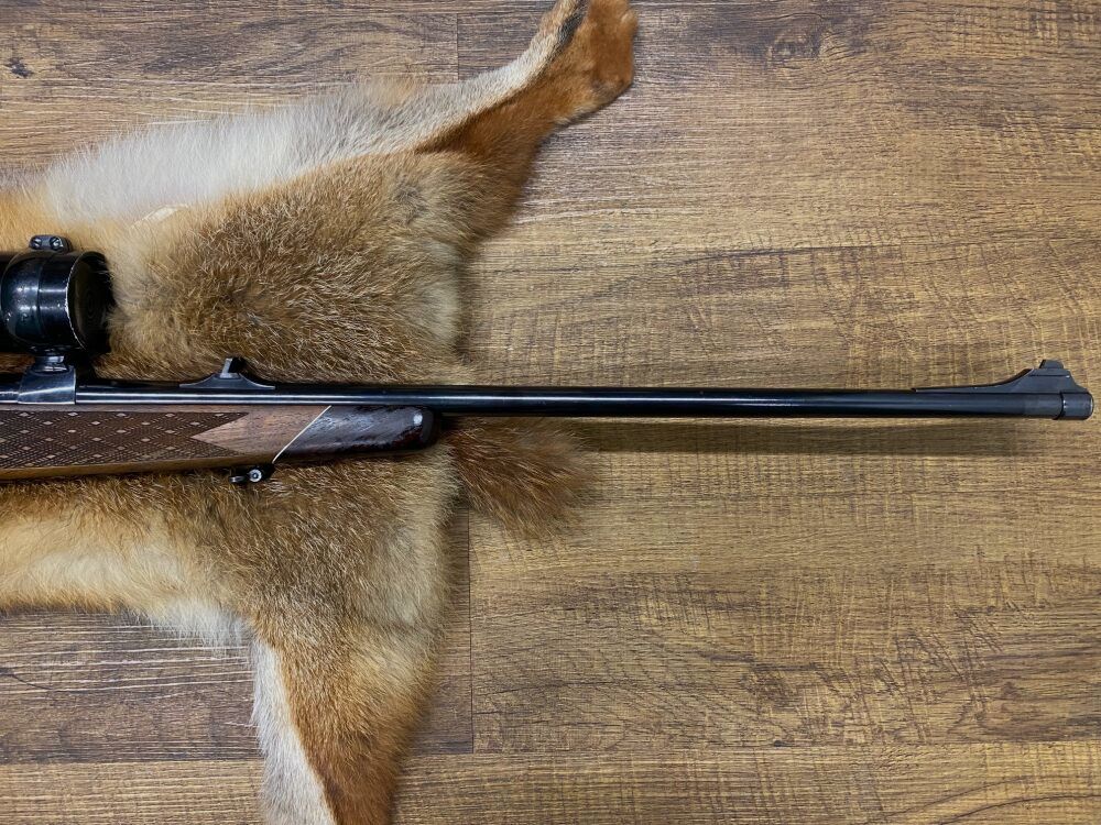 Sauer 80