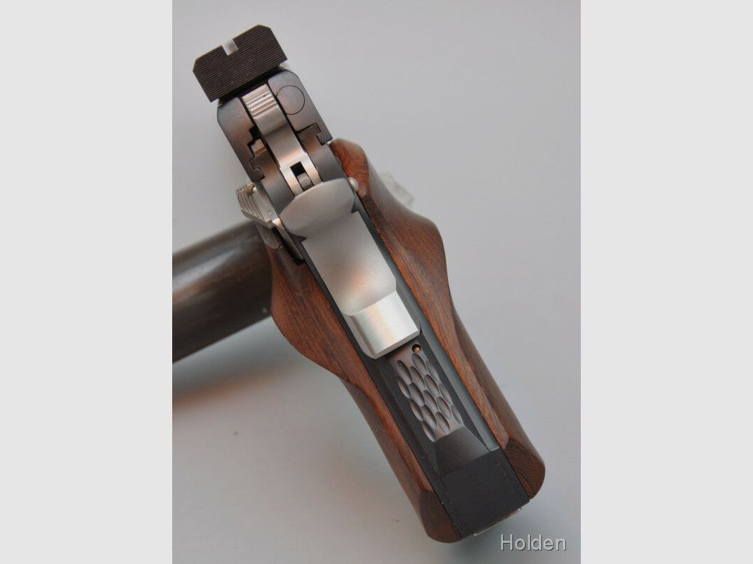 Holden Custom Guns 1911 10mmAuto