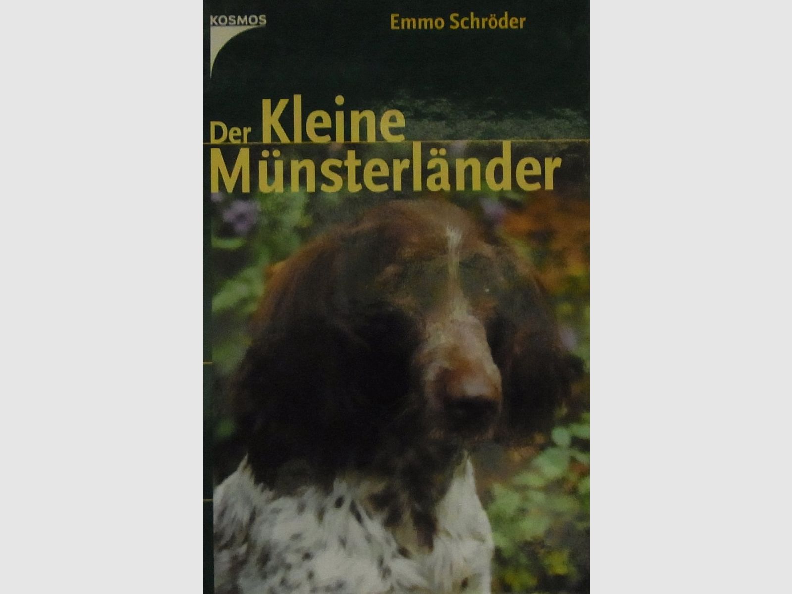 Buch Der Kleine Münsterländer