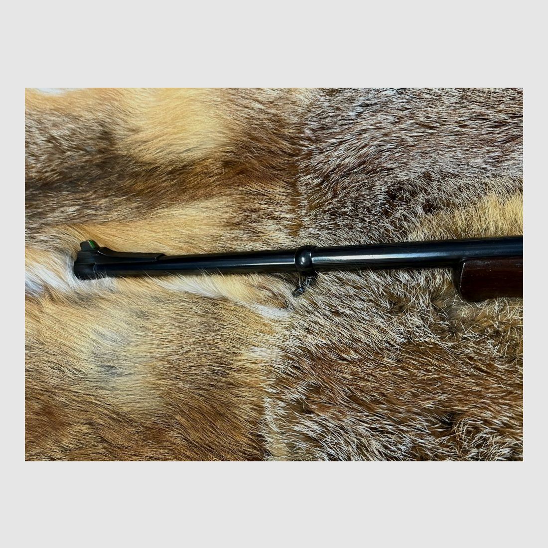 Alljagd Modell 3000